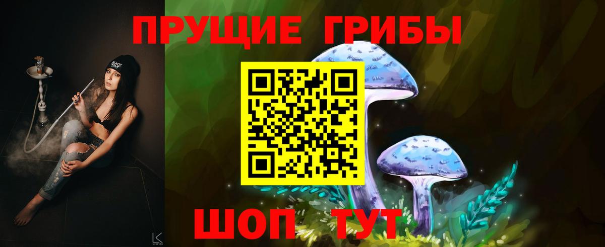 Нижнекамск  где купить наркоту  Галлюциногенные грибы Psilocybine cubensis  Вход с VPN  Галлюциногенные грибы Psilocybine cubensis 
